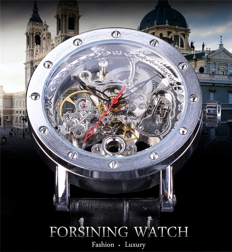FORSINING GMT1081(1).jpg