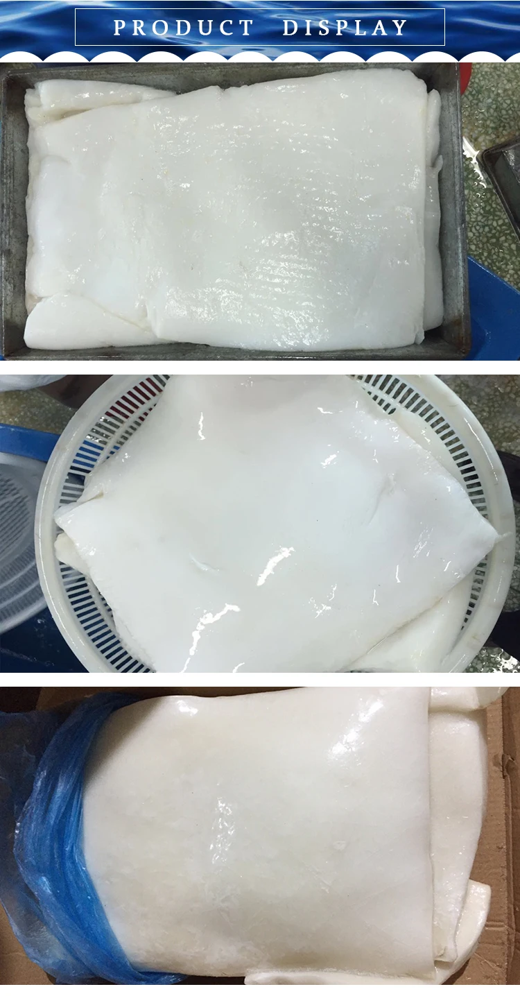 giant-squid-fillet.jpg