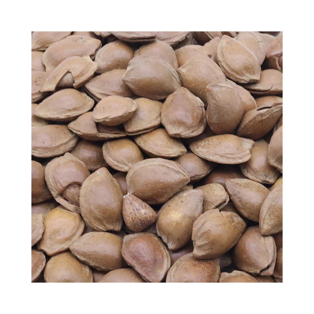 
Manufacturers supply nutritious organic nut snack food open almond 