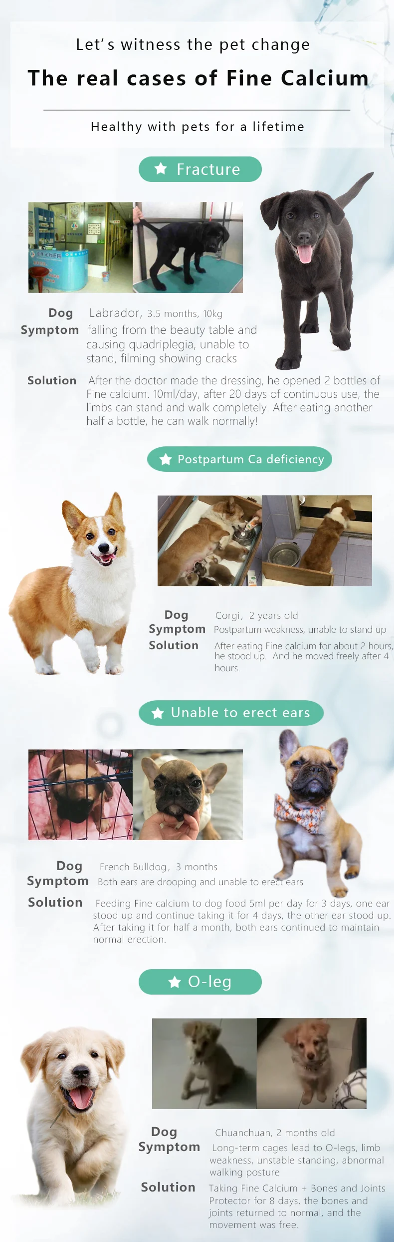 Wholesale Pet Health Improve Calcium Supplement For Dogs Buy Calcium