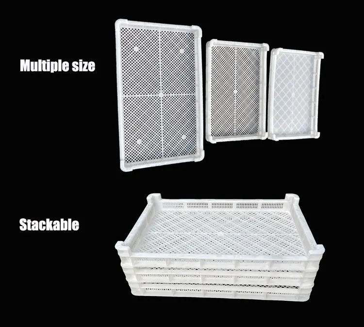 Good Quality Fruit Drying Tray Vegetable Plastic Drying Tray Perforated