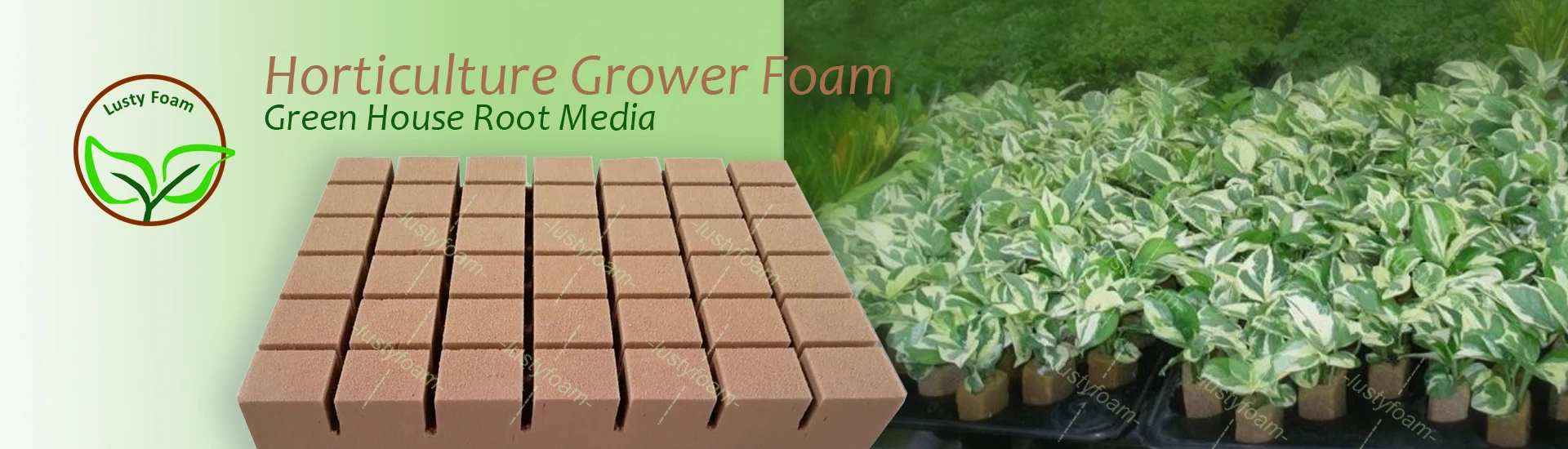 grower foam.jpg