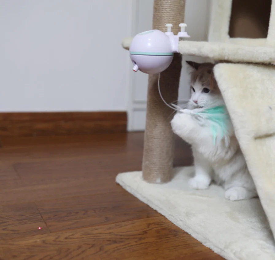 cat motion toy