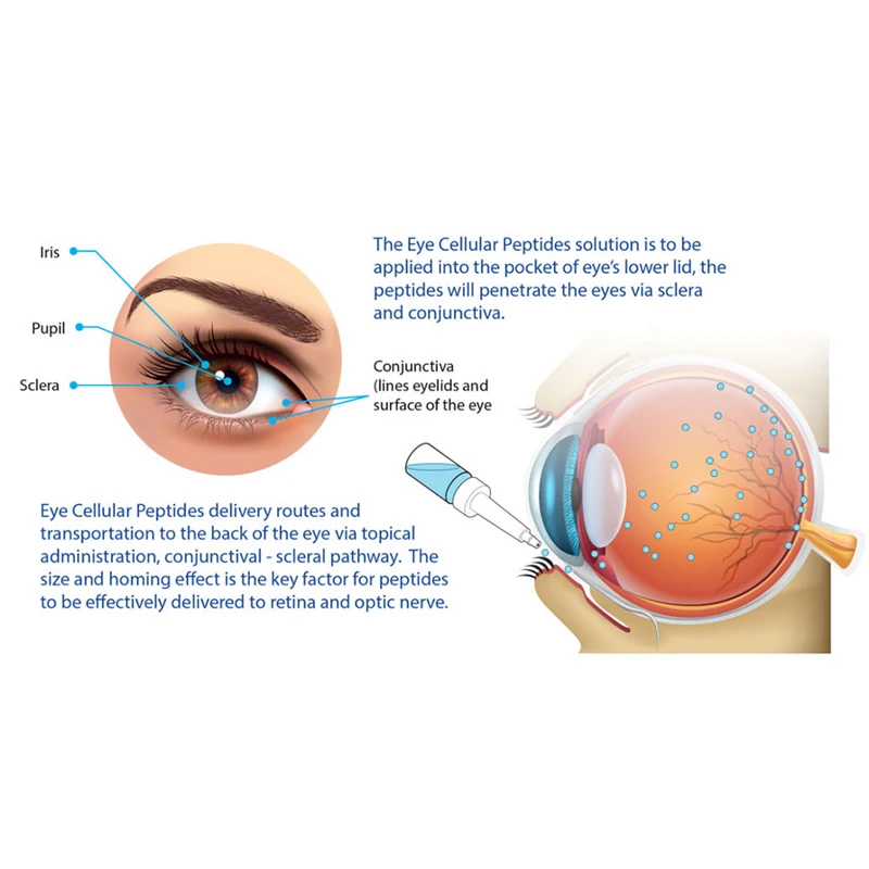 Menoage peptides eye