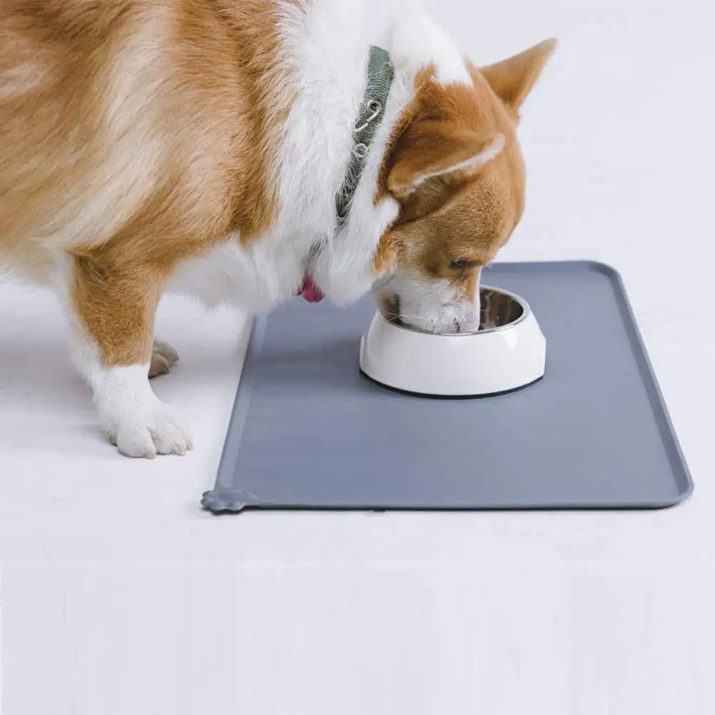 Silicone Dog Feeding Mat.jpg