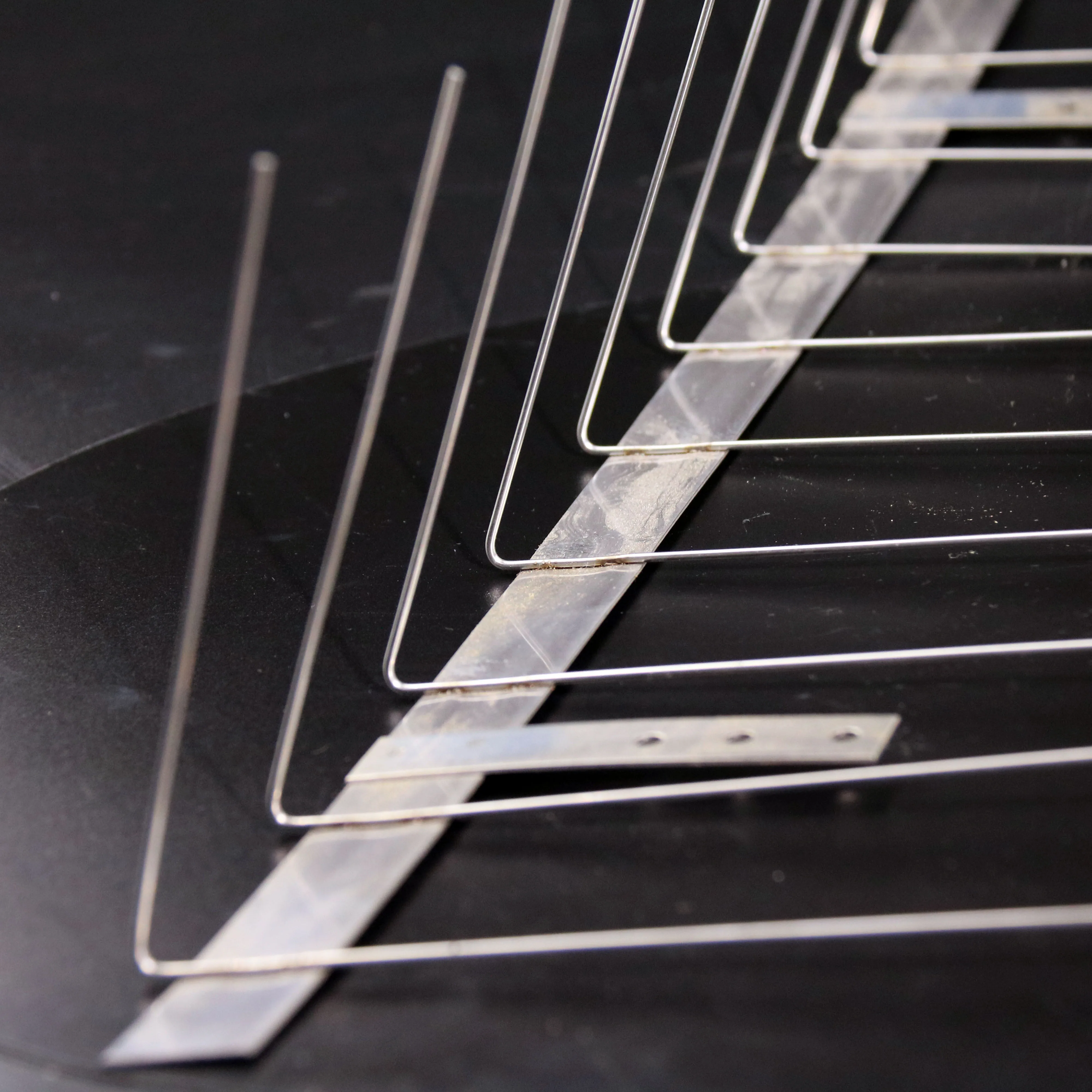 不锈钢鸟钉海鸥鸟威慑指甲与热销售