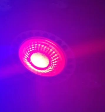 Red Green Blue White LED GU5.3 Low Voltage Light Bulb Colour cob Spotlight MR16 12V DC10-30V AC24V LED Spotlight Bulbs