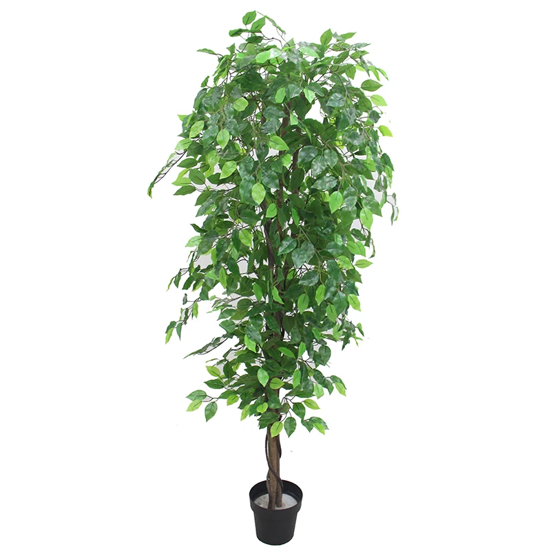 Decorative Cheap Artificial Ficus/benjamin Tree - Buy Artificial ...