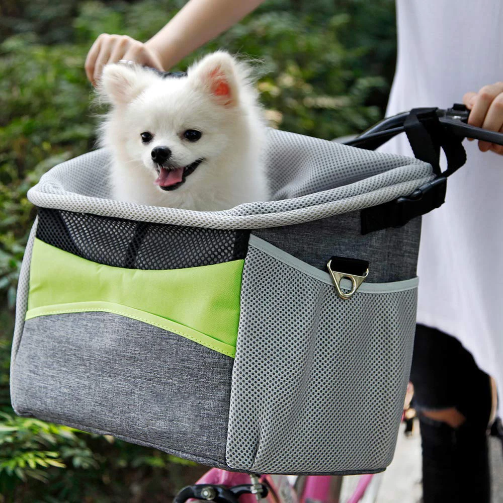 couleur 3 bicyclette chien