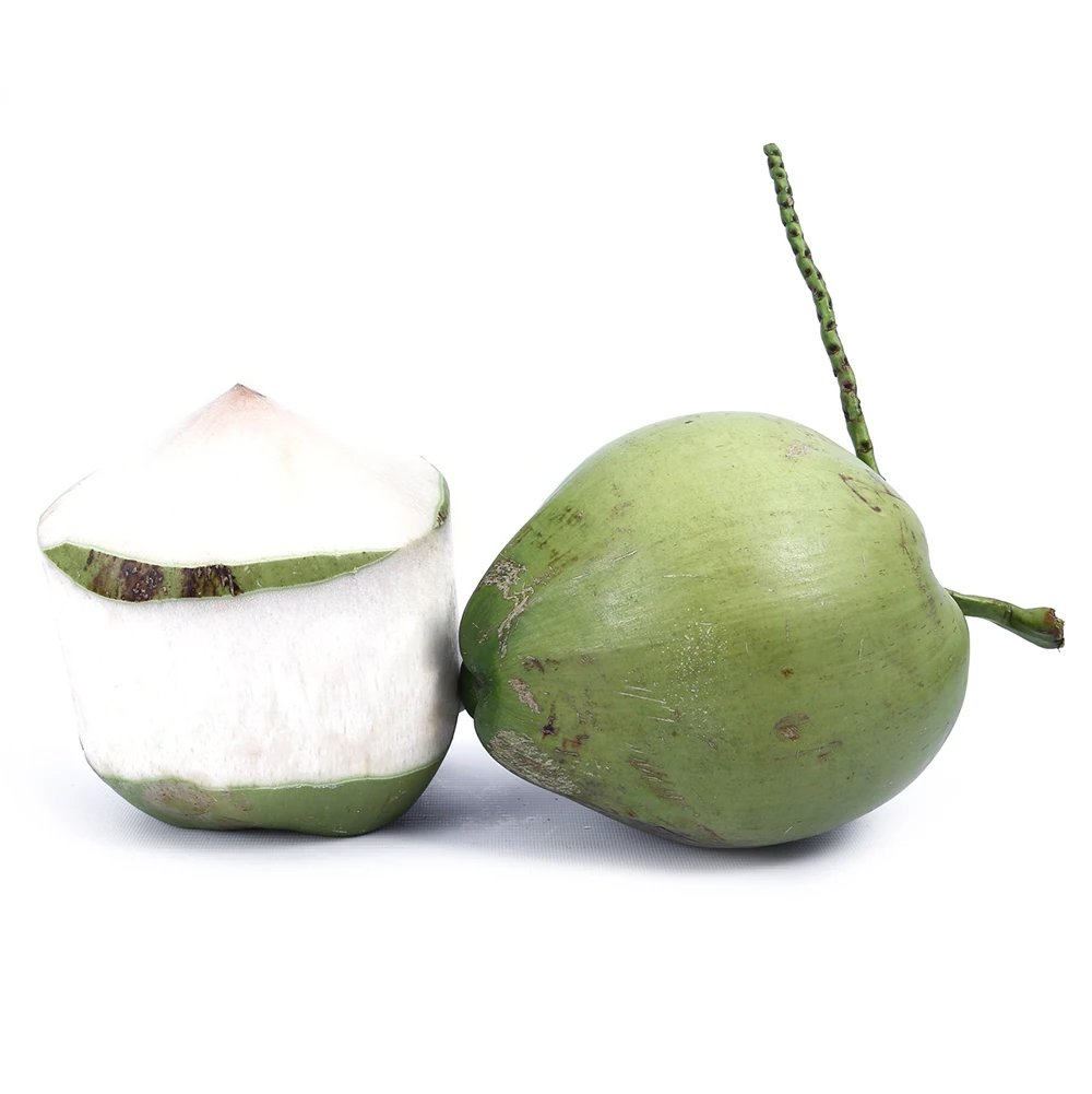 Frozen Coconut Water Buy Frozen Coconut Water,Coconut Water,Thai