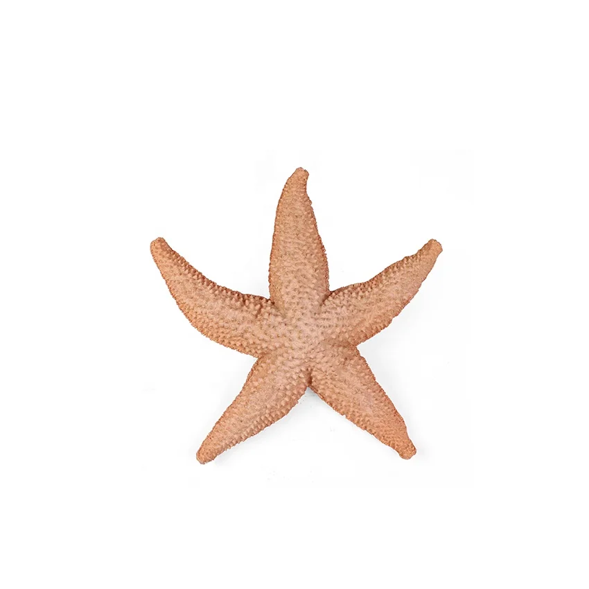 Cute resin starfish wall decoration 3d for home factory