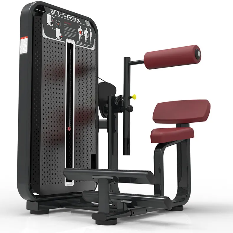 Gym sports strength machine lower back extension machine GUANGZHOU BFT