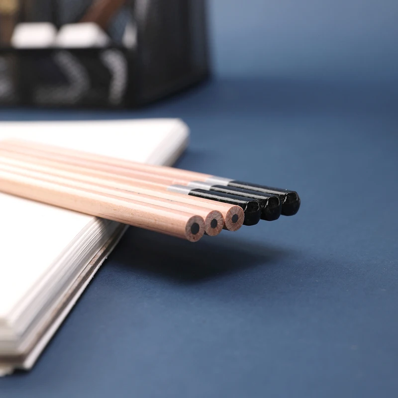 Bview Art Customizing Artist Drawing Sketch Art Pencil Kit Charcoal