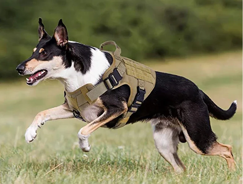 Tactical Adjustable German Shepherd Tactical Dog Harness Military Body
