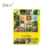 Deoi High Quality Adorable School File Folder Plastic PP Material
