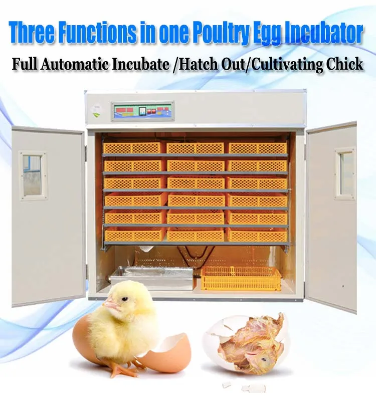 Quality Household Automatic Incubator And Hatcher Egg Incubator Buy