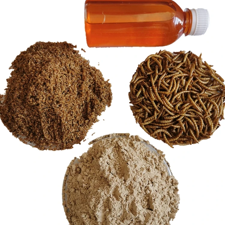 mealworm breeding.jpg