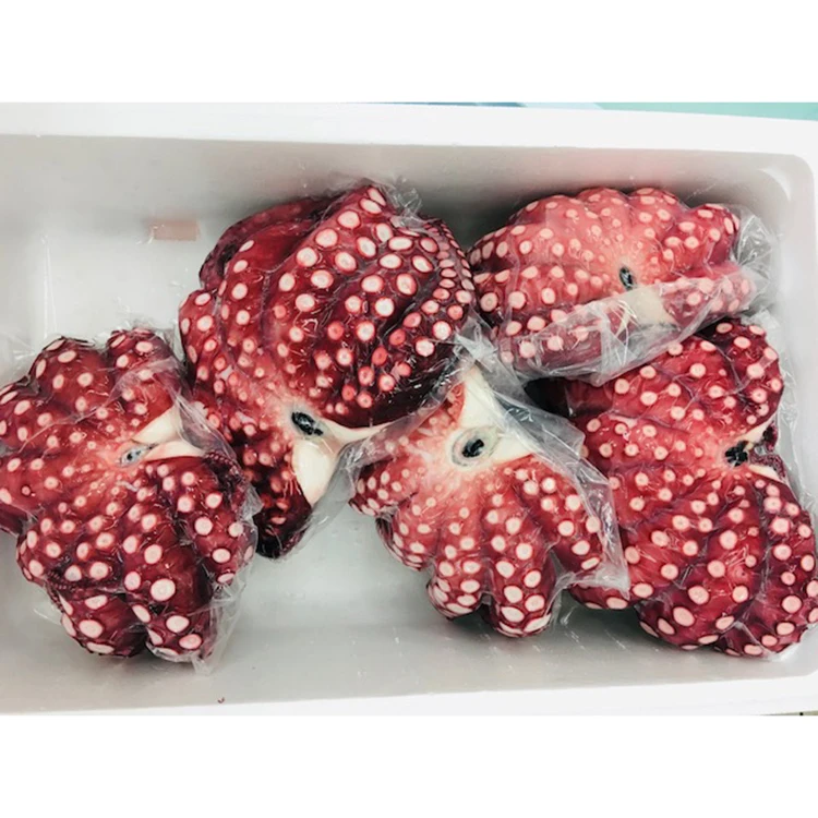 
Frozen carefully steamed octopus food Japanese sushi materials 