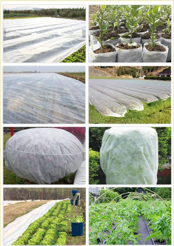 工厂价格,农业pp无纺布卷可定做