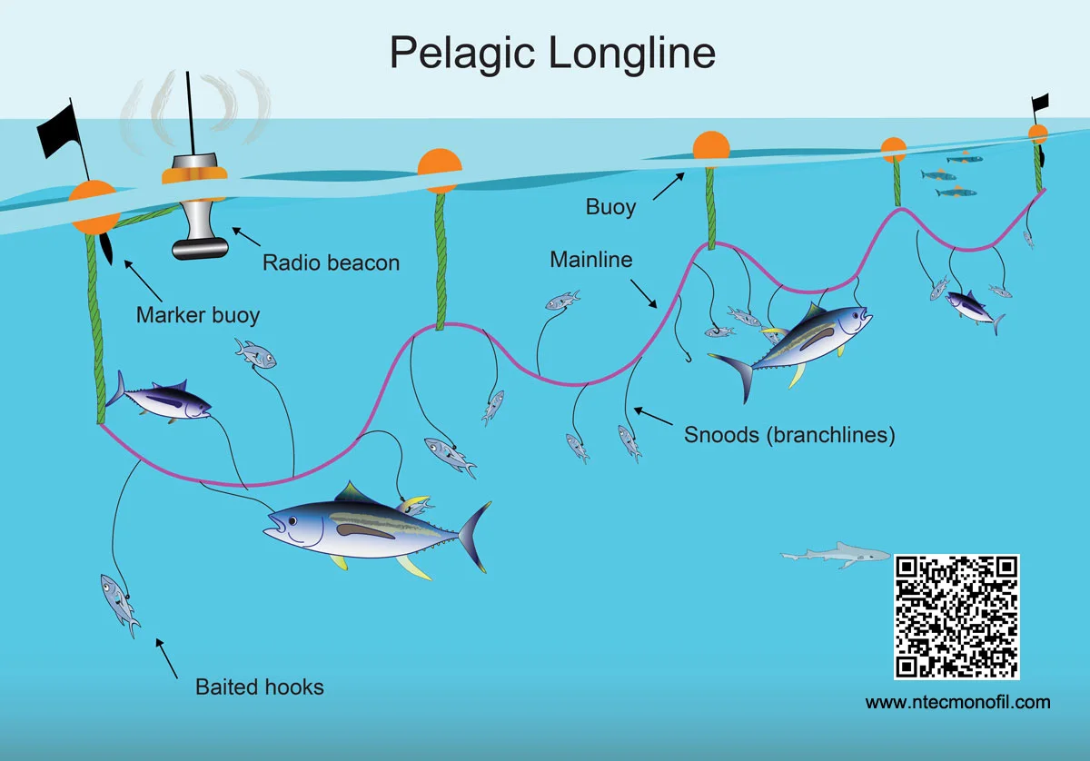 1.8mm Super Strong Nylon Tuna Fishing Branch Line Long Lines