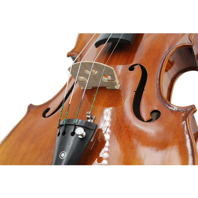 hand painted violin