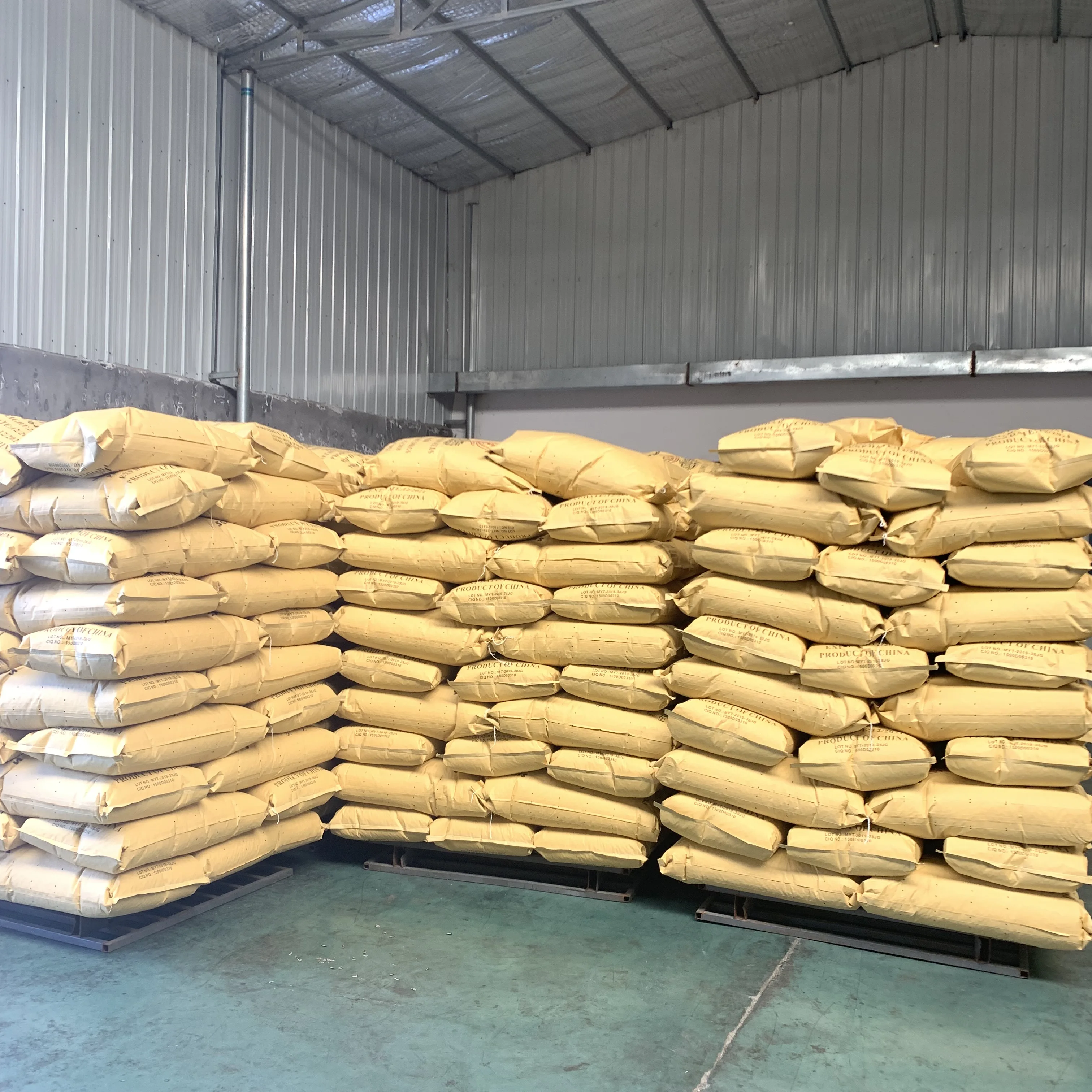 Sunflower Seed 363 Hybrid Sunflower Seed And Sunflower Seed Price India