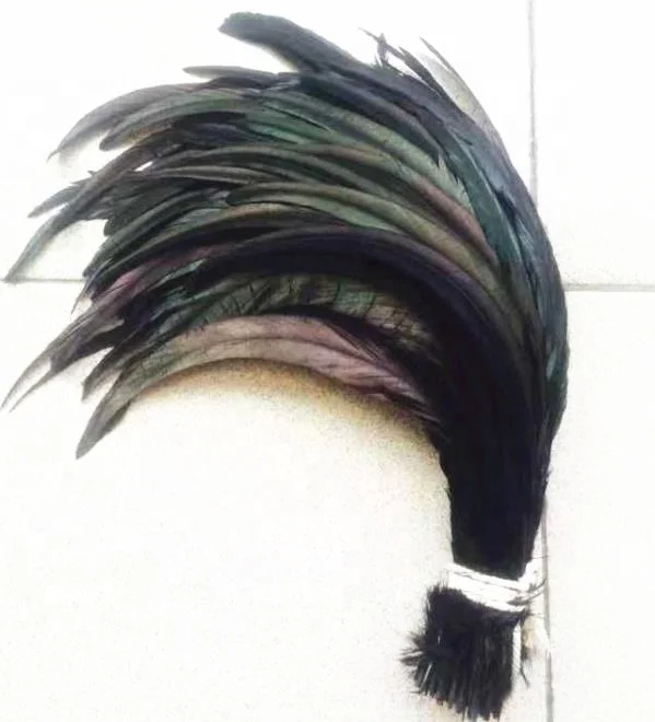 Dyed Black Rooster Feather_.jpg
