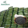 "HuminRich Huplus"Maintaining Long-Term Soil Fertility Potassium Humate Fertilizer For Corn