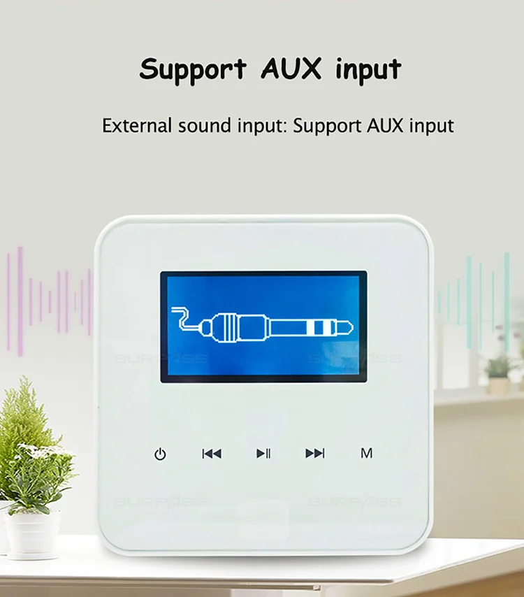 SURPASS audio Smart Wall Amplifier AC110-220V 2x30W Small Blue-tooth WIFI On Wall Amplifier Kyepads With Touch Button