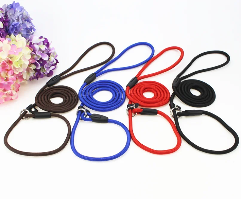 Dog Collar Leash (2).png