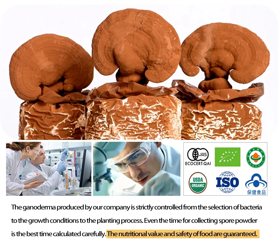 organic ganoderma lucidum.jpg