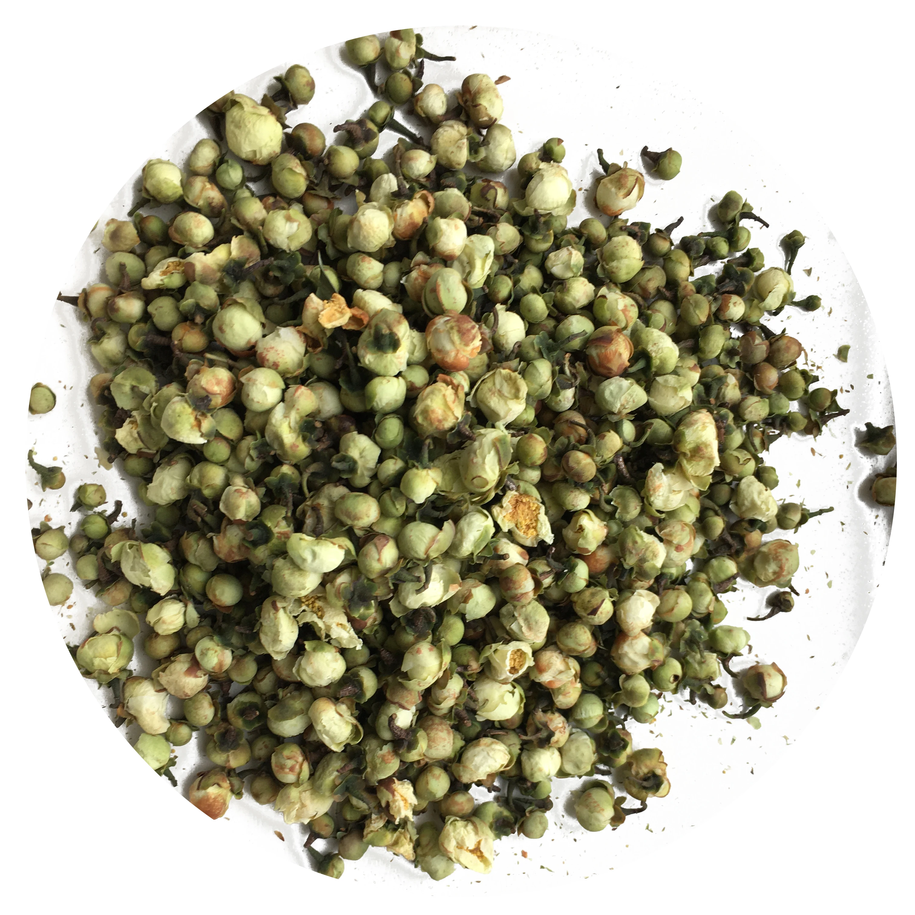 Camellia Sinensis Plant Flower Shan Cha Hua Camellia Tea - 4uTea | 4uTea.com