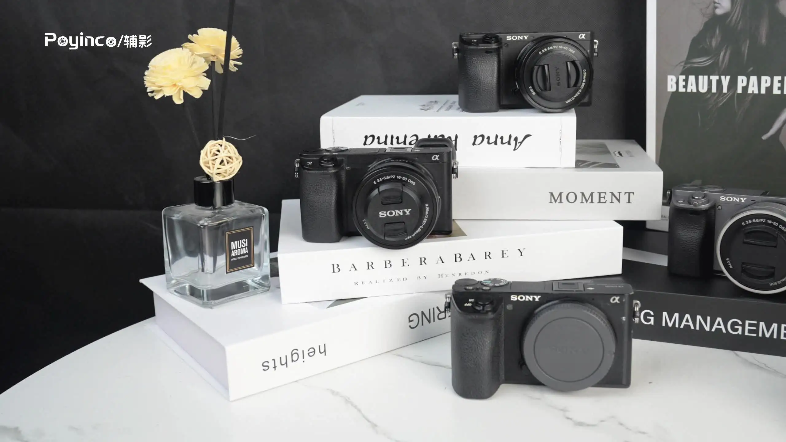 Stabilize Sony A6500, A6400, A6300, A6000 Cameras with Poyinco