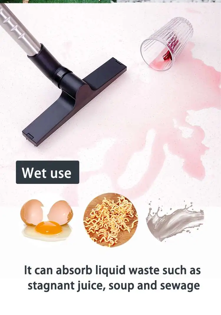 Best Clean Powerful Motor Water Filtration Wet And Dry Vacuum Cleaner