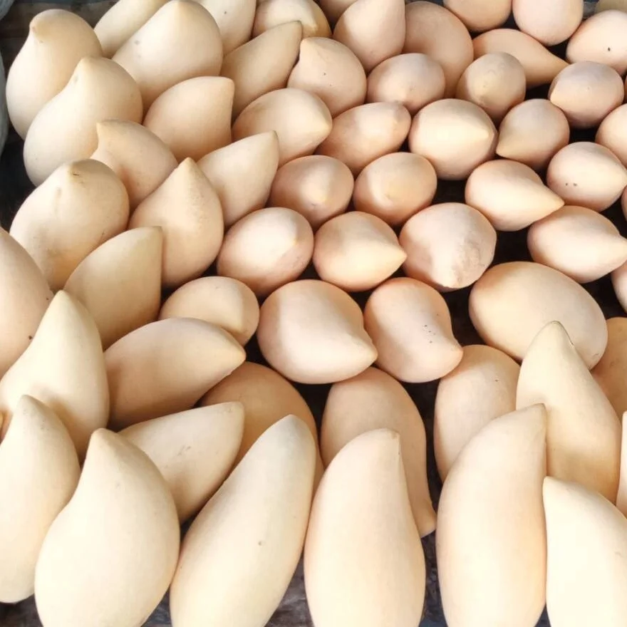 
Fresh Mango Namdokmai Yellow with GAP 