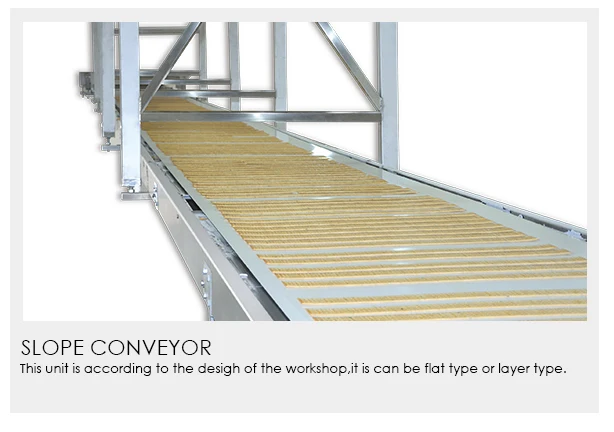 cookies-equipment_03_04