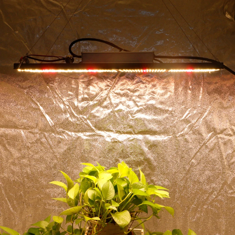 Wish pre-assemabled mars 150W 240W 300W hps LM301H mix deep red Epistar 660nm led grow light