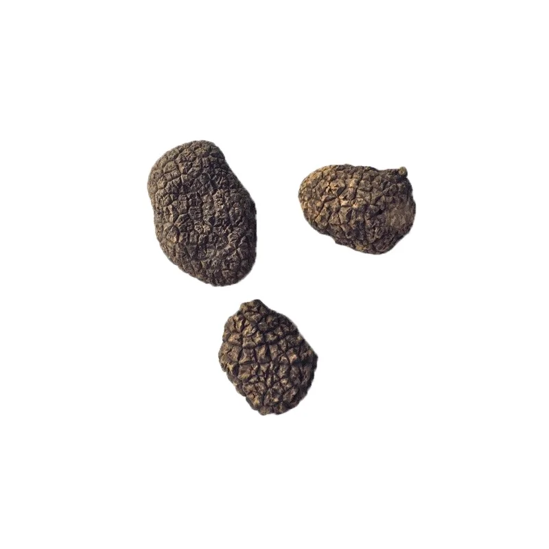 
Low price for truffle mushroom/canned truffle 