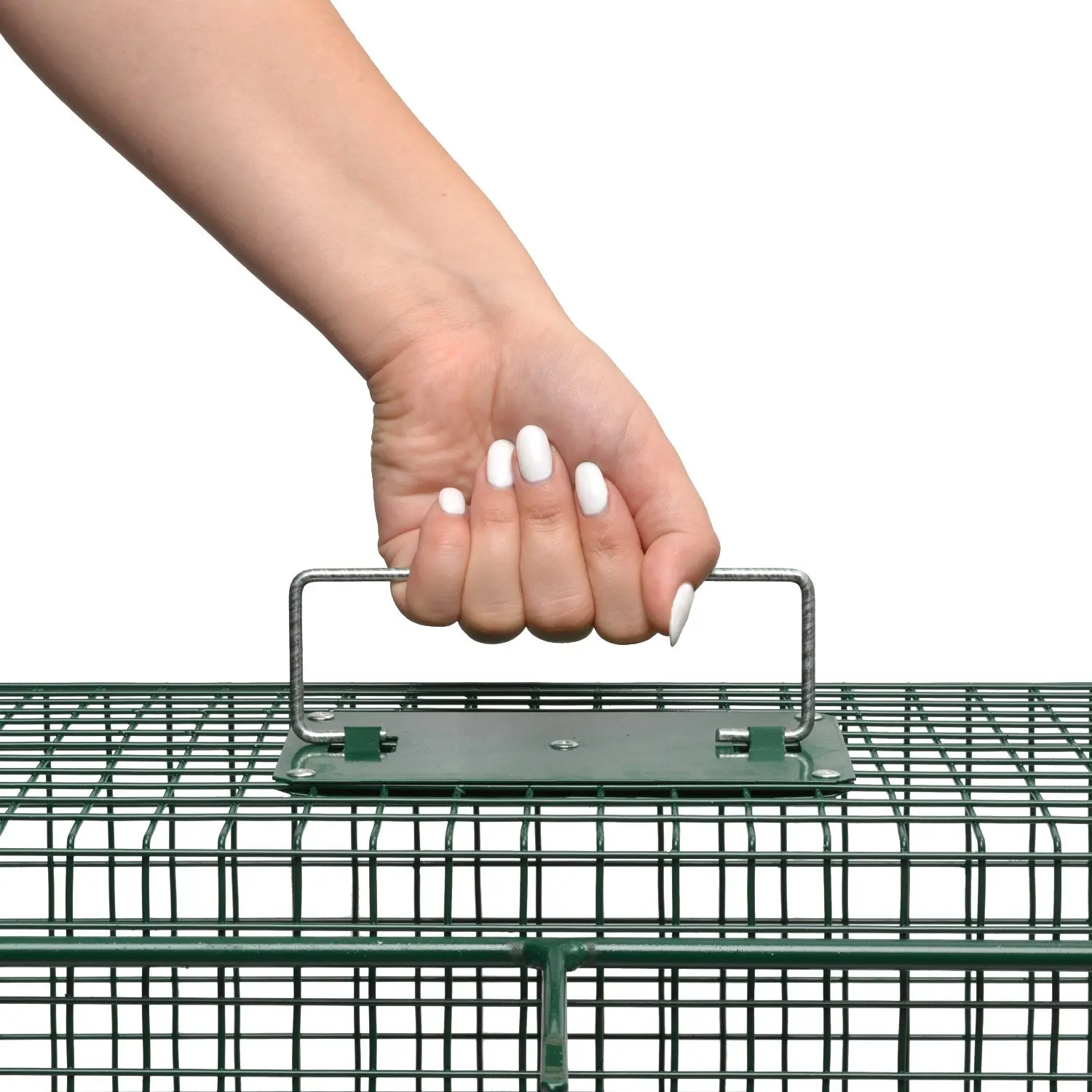 Wire Cage Animal Trap 5002 Humane Live Trapping Of Feral Cat 