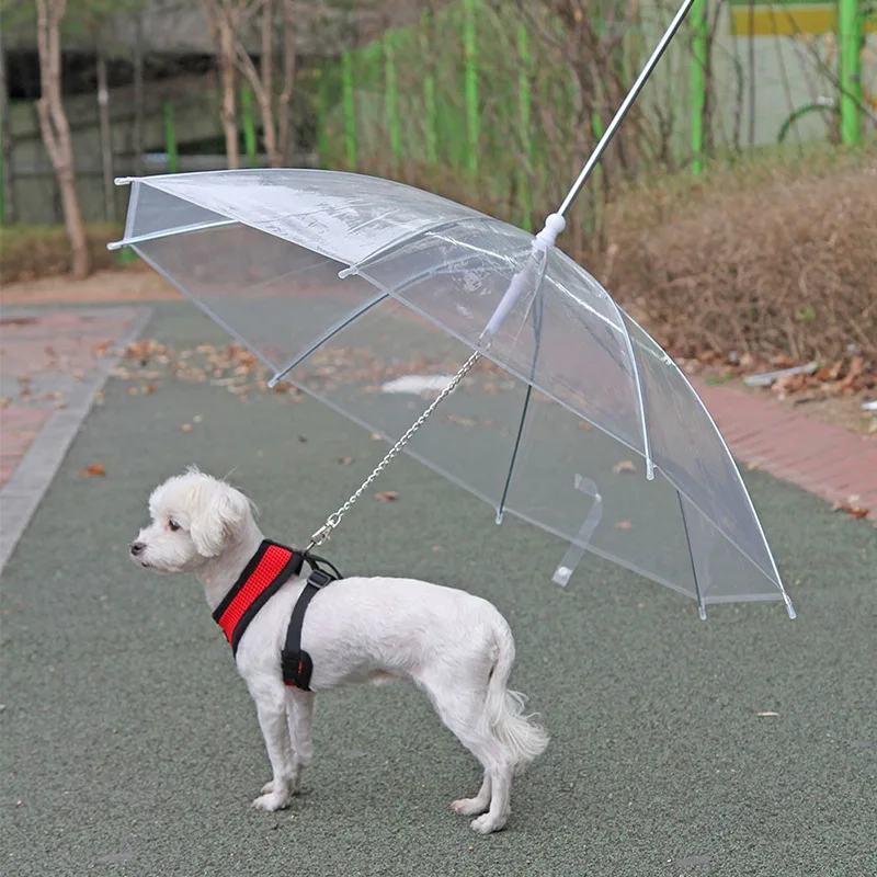 umbrella leash holder
