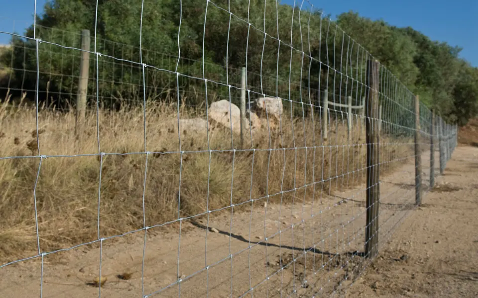 Galvanized Field Fence Design Sheep And Goat Farming Fence Buy Field