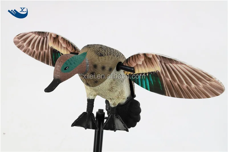 green wing teal (1).jpg
