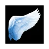 Poster black and white Canvas paintings on the wall angel wings paintings for a living room modern home decoration