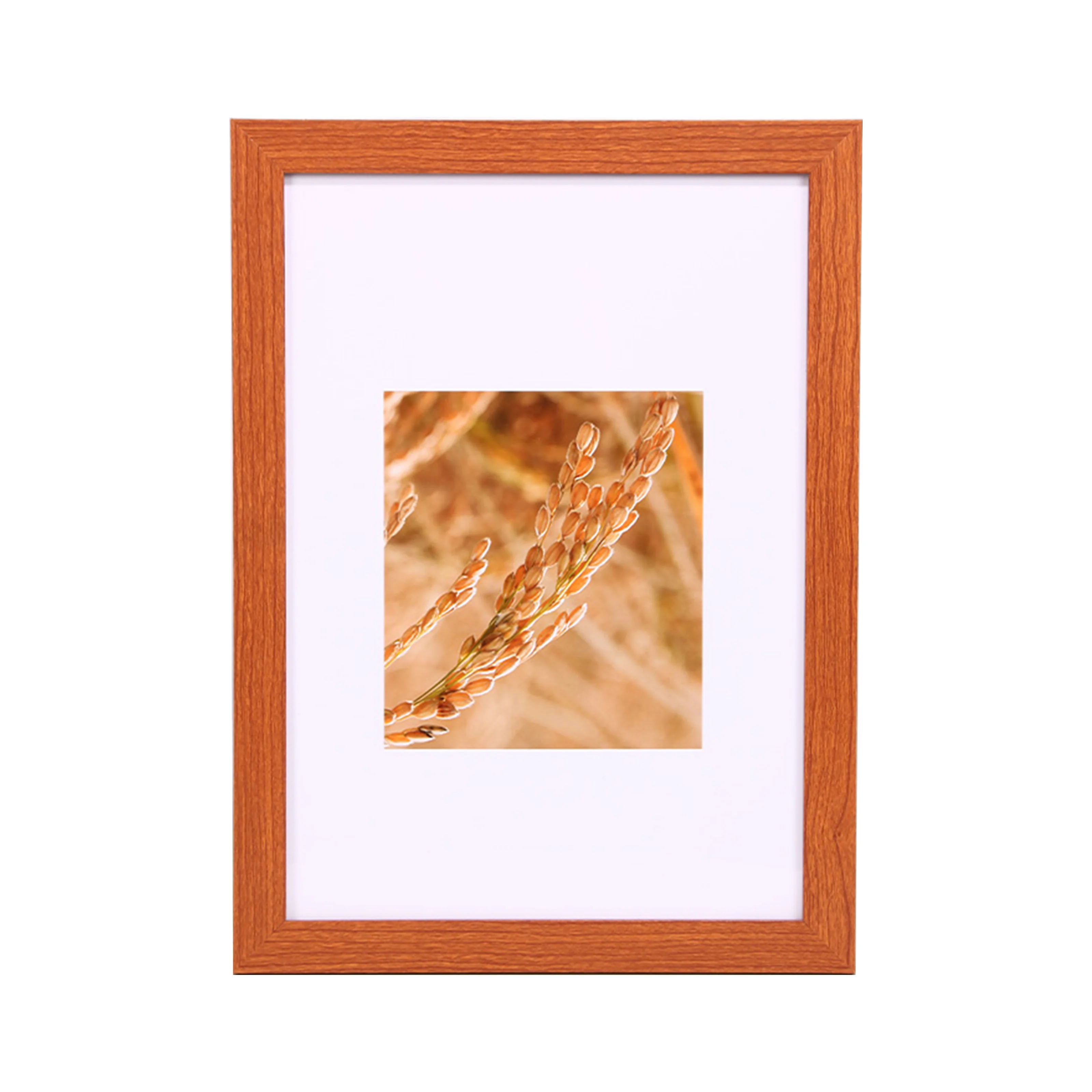 4x6 5x7 6x8 8x10 A4 A3 11x14 12x16 12x18 16x20 18x24 24x36 Black White Multicolor Poster Picture