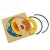 GE053 3D Puzzle Solar Core With Knob Game Geography Teaching Learning Montessori Wooden Map Board Educational Toys Kids