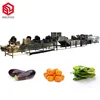 Green pepper red chilli potato washer ginger groundnut bean sprout cleaning industrial fruit drying machine vegetable washer