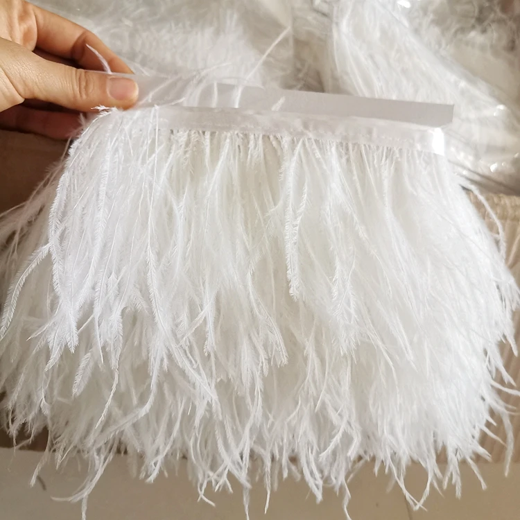 Fringe_Ostrich_750_9.jpg