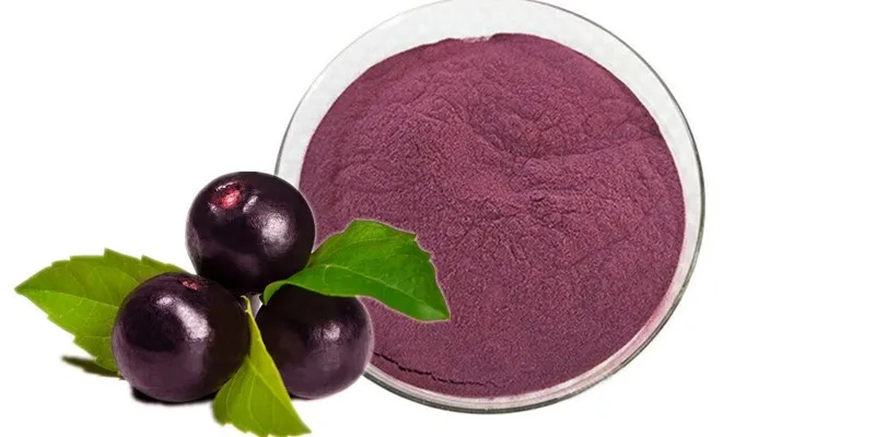 10:1 acai 莓果萃取物 - buy organic acai powder,acai berry