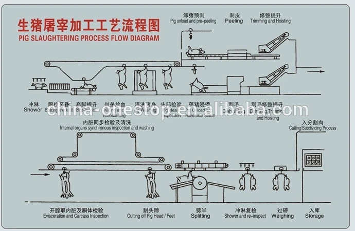 Complete pig slaughterhouse production line (including pig slaughterhouse)