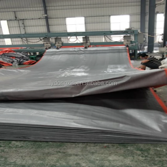 DX Silver Orange  (75).jpg